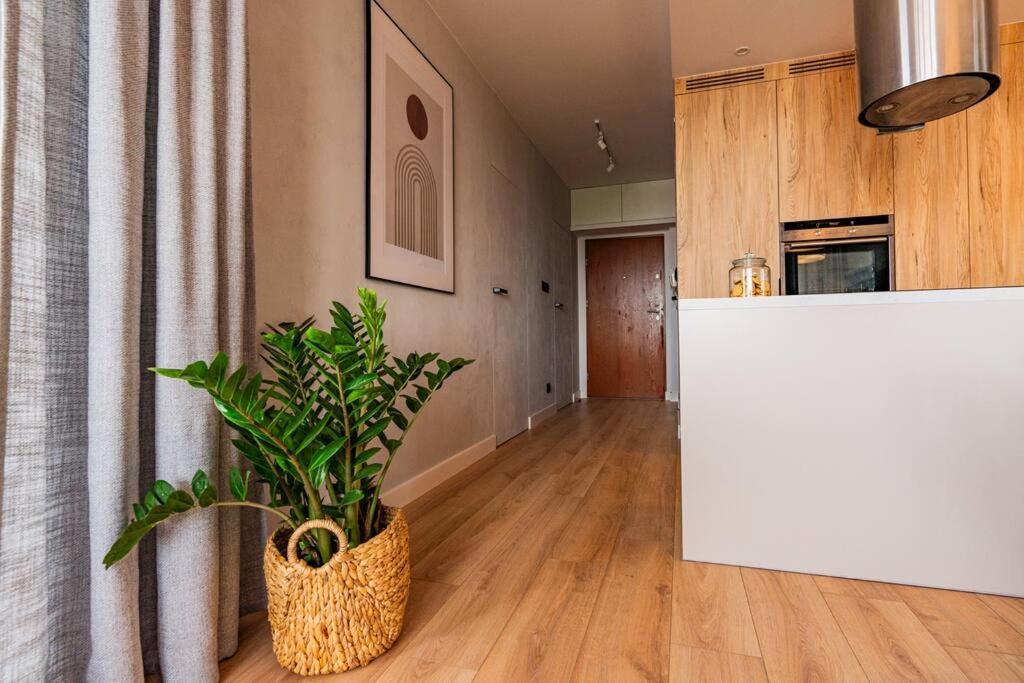 Apartament Na Grabiszynskiej Wrocław Extérieur photo