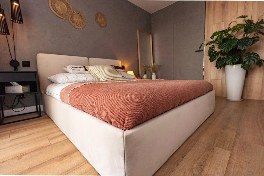 Apartament Na Grabiszynskiej Wrocław Extérieur photo